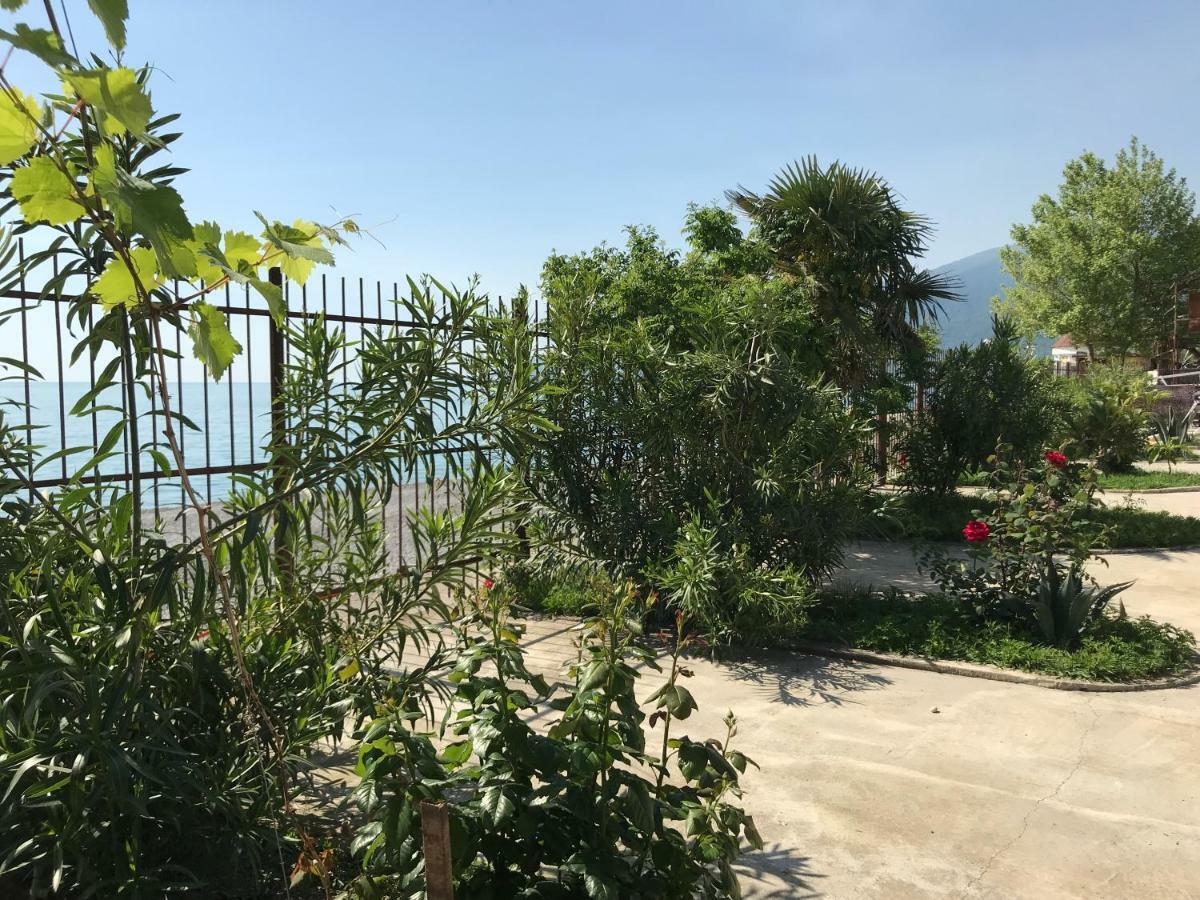 Davel Hotel Gagra Luaran gambar